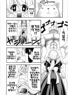 [Kikkawa Kabao] Kanzen Oppai Sengen | 완전 가슴 선언 [Korean] [팀☆면갤] - page 16