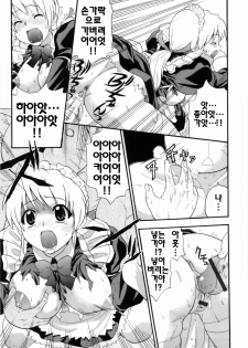 [Kikkawa Kabao] Kanzen Oppai Sengen | 완전 가슴 선언 [Korean] [팀☆면갤] - page 21