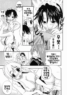 [Kikkawa Kabao] Kanzen Oppai Sengen | 완전 가슴 선언 [Korean] [팀☆면갤] - page 43