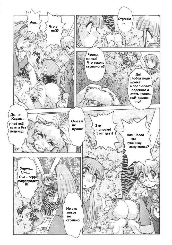 [Mashumaro Juubaori] Alice Extreme No. 1 [RUS] {hentaichan.ru} page 9 full