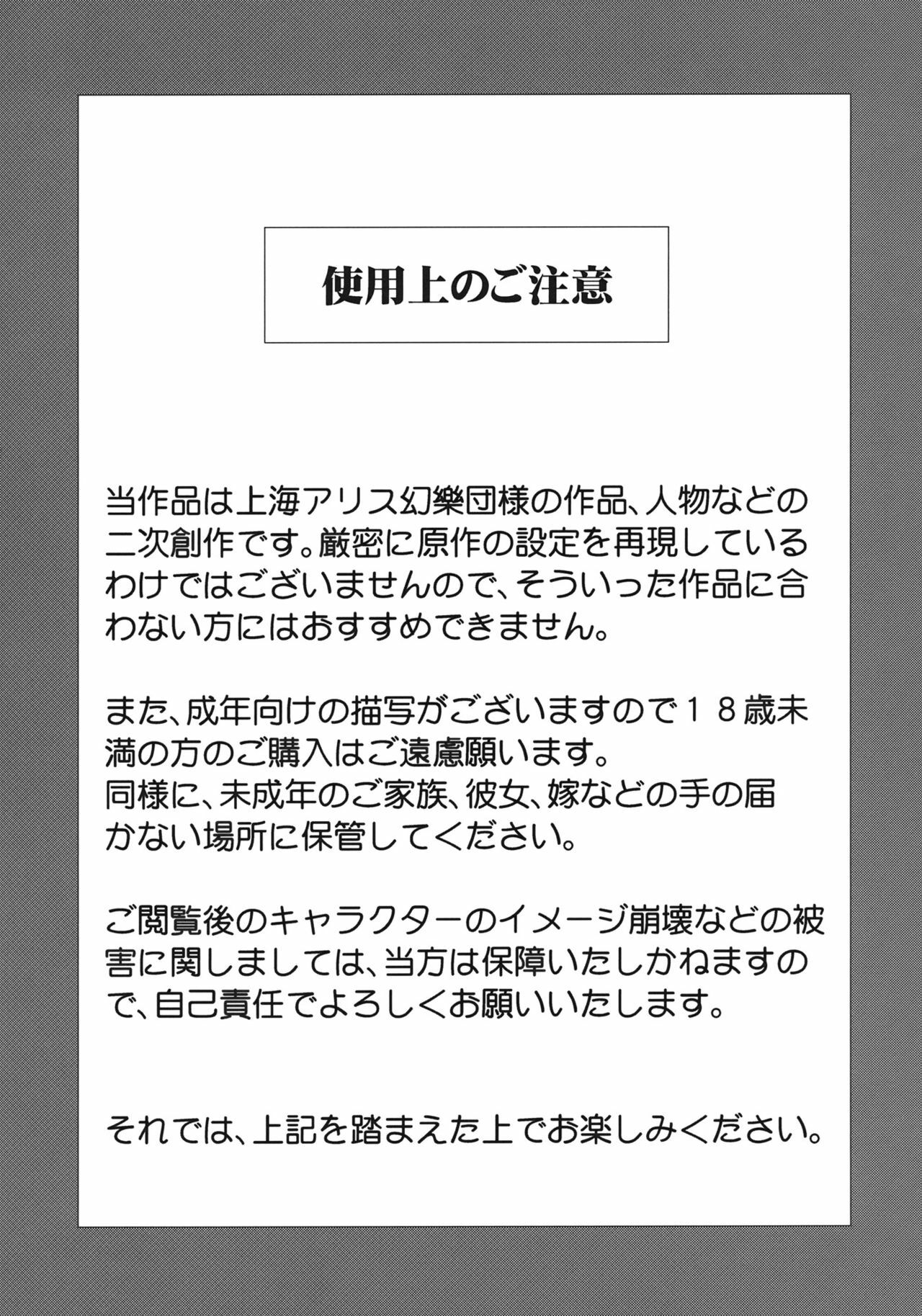 (C81) [RapidRabbit (Tomotsuka Haruomi)] Sekka no Sho (Touhou Project) page 3 full