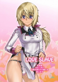 (C81) [Kouchaya (Ootsuka Kotora)] Love Slave (Infinite Stratos)