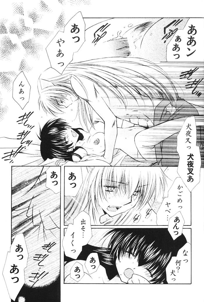 (C66) [Sakurakan (Seriou Sakura)] Hajimaru Hoshioto (Inuyasha) page 100 full