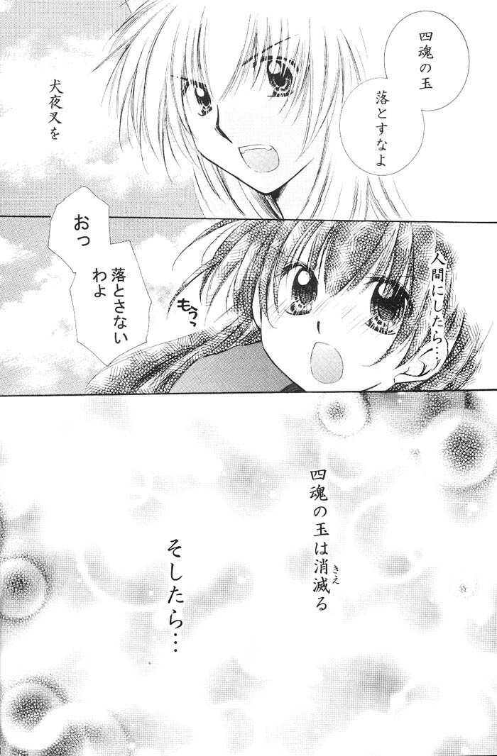 (C66) [Sakurakan (Seriou Sakura)] Hajimaru Hoshioto (Inuyasha) page 109 full