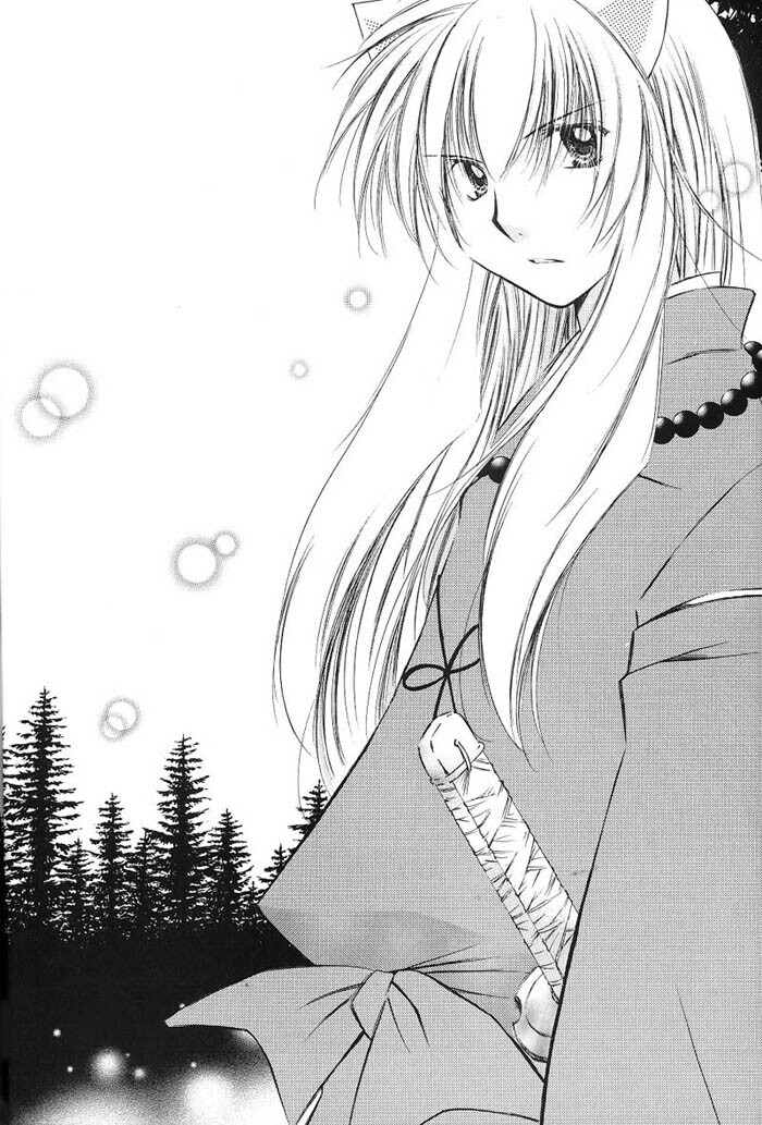 (C66) [Sakurakan (Seriou Sakura)] Hajimaru Hoshioto (Inuyasha) page 17 full