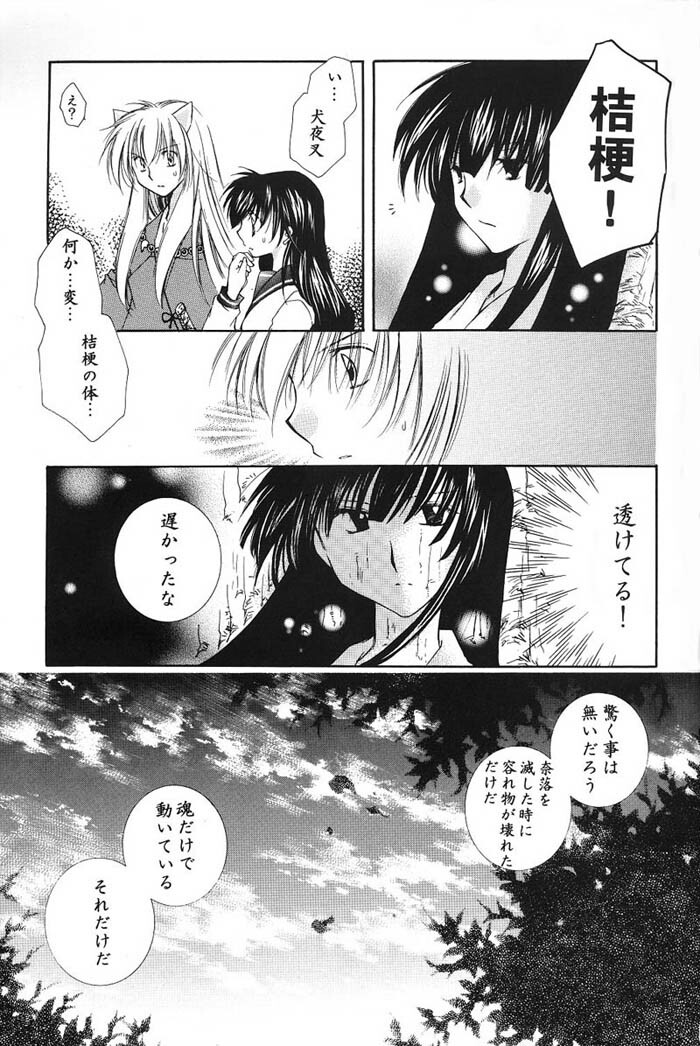 (C66) [Sakurakan (Seriou Sakura)] Hajimaru Hoshioto (Inuyasha) page 46 full