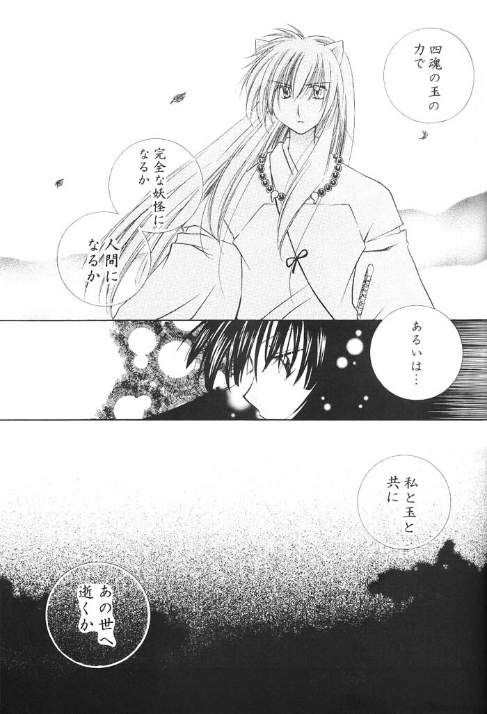 (C66) [Sakurakan (Seriou Sakura)] Hajimaru Hoshioto (Inuyasha) page 48 full