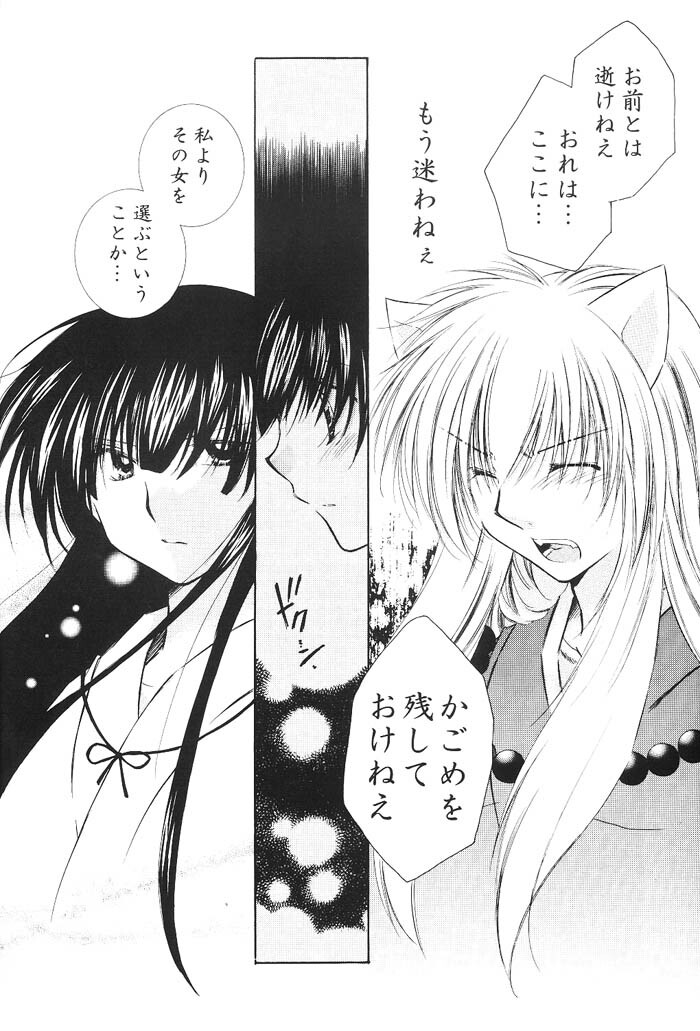 (C66) [Sakurakan (Seriou Sakura)] Hajimaru Hoshioto (Inuyasha) page 53 full