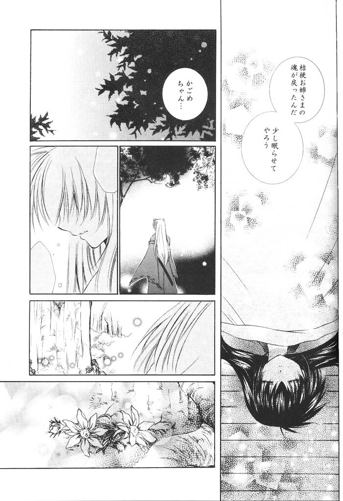 (C66) [Sakurakan (Seriou Sakura)] Hajimaru Hoshioto (Inuyasha) page 64 full