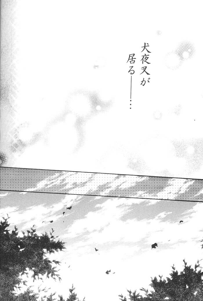 (C66) [Sakurakan (Seriou Sakura)] Hajimaru Hoshioto (Inuyasha) page 67 full