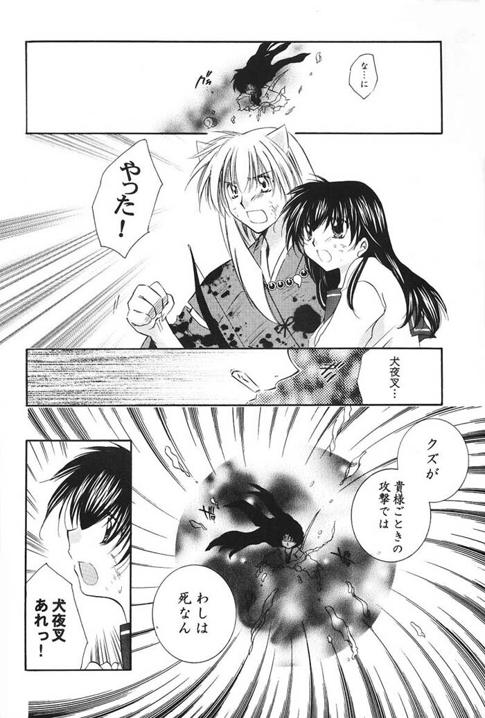 (C66) [Sakurakan (Seriou Sakura)] Hajimaru Hoshioto (Inuyasha) page 9 full