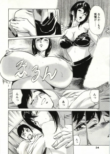 [Hazuki Kaoru] Uruwashi Shukujyohen - page 33