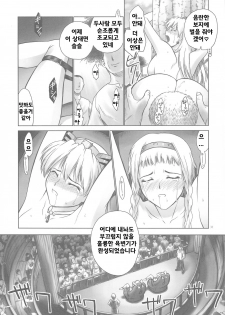 (C76) [Hellabunna (Iruma Kamiri)] QB (Queen's Blade) [Korean] [Bigking] - page 30