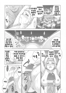 (C76) [Hellabunna (Iruma Kamiri)] QB (Queen's Blade) [Korean] [Bigking] - page 33