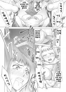 (C76) [Hellabunna (Iruma Kamiri)] QB (Queen's Blade) [Korean] [Bigking] - page 39