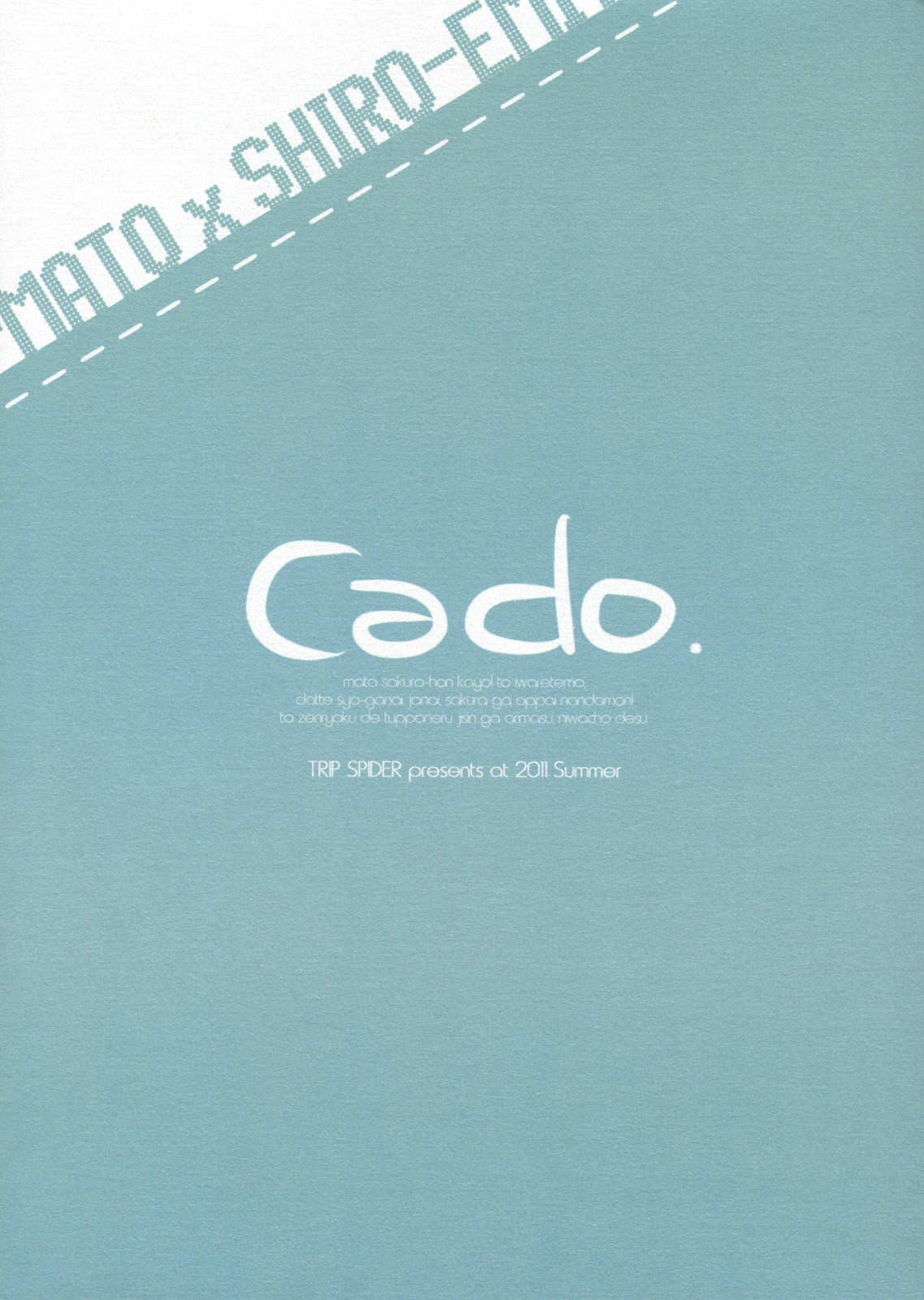 (C80) [TRIP SPIDER (niwacho)] Cado. (Fate/Stay night) page 30 full
