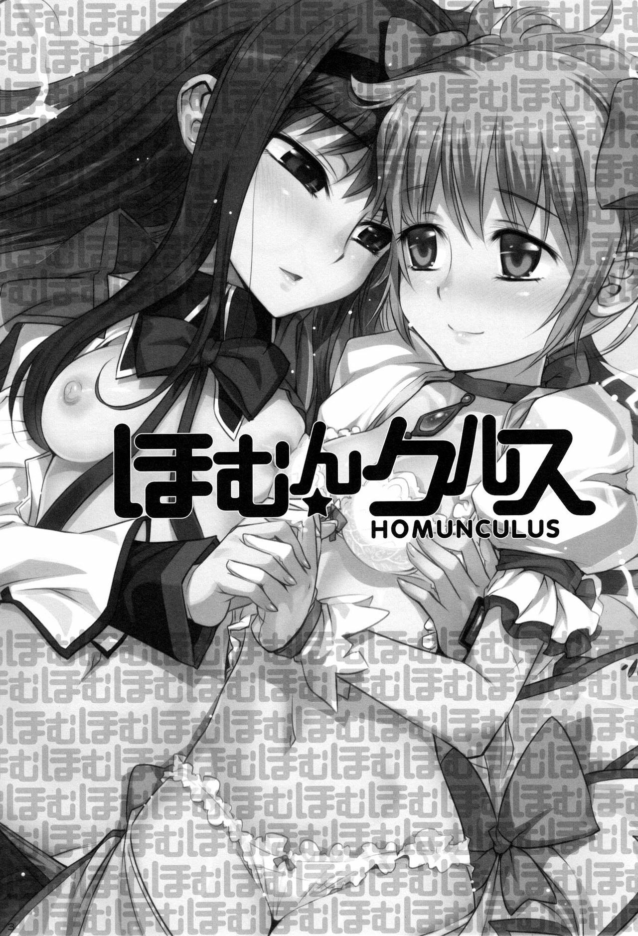 (C80) [Aneko no Techo (Koume Keito)] HOMUN★CULUS (Puella Magi Madoka☆Magica) [English] [Kamikakushi] page 3 full