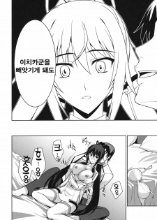 (C81) [Type-G (Ishigaki Takashi)] Broom on the Frontline (IS ) [Korean] - page 8