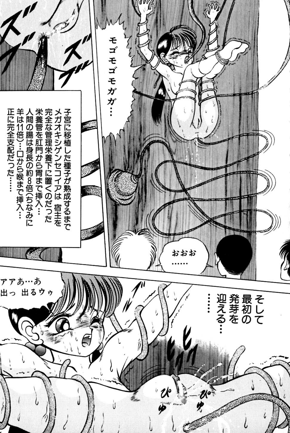 [Eiri Kiku] Kimyou na Kajitsu page 24 full