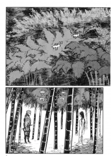 [Koike Kazuo, Kojima Goseki] Hanzou no Mon Vol.11 - page 8