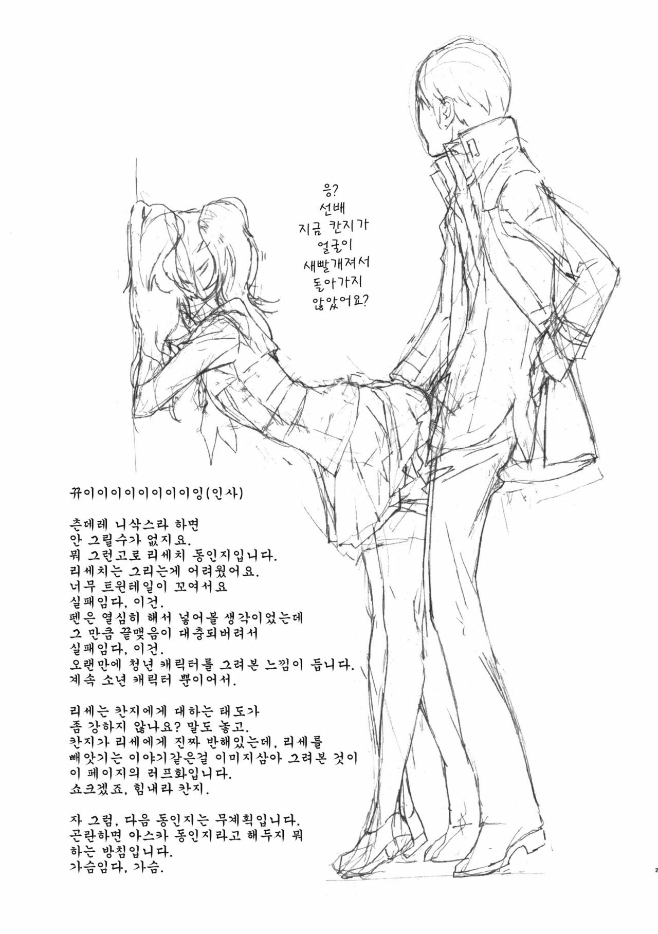 (C81) [Hapoi-Dokoro (Okazaki Takeshi)] Rise Sexualis (Persona 4) [Korean] [Team Arcana] page 24 full