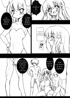 (COMIC1☆4) [SLASH] Ase to Shojo Honki Shiru (Baka to Test to Shoukanjuu) (korean) - page 4