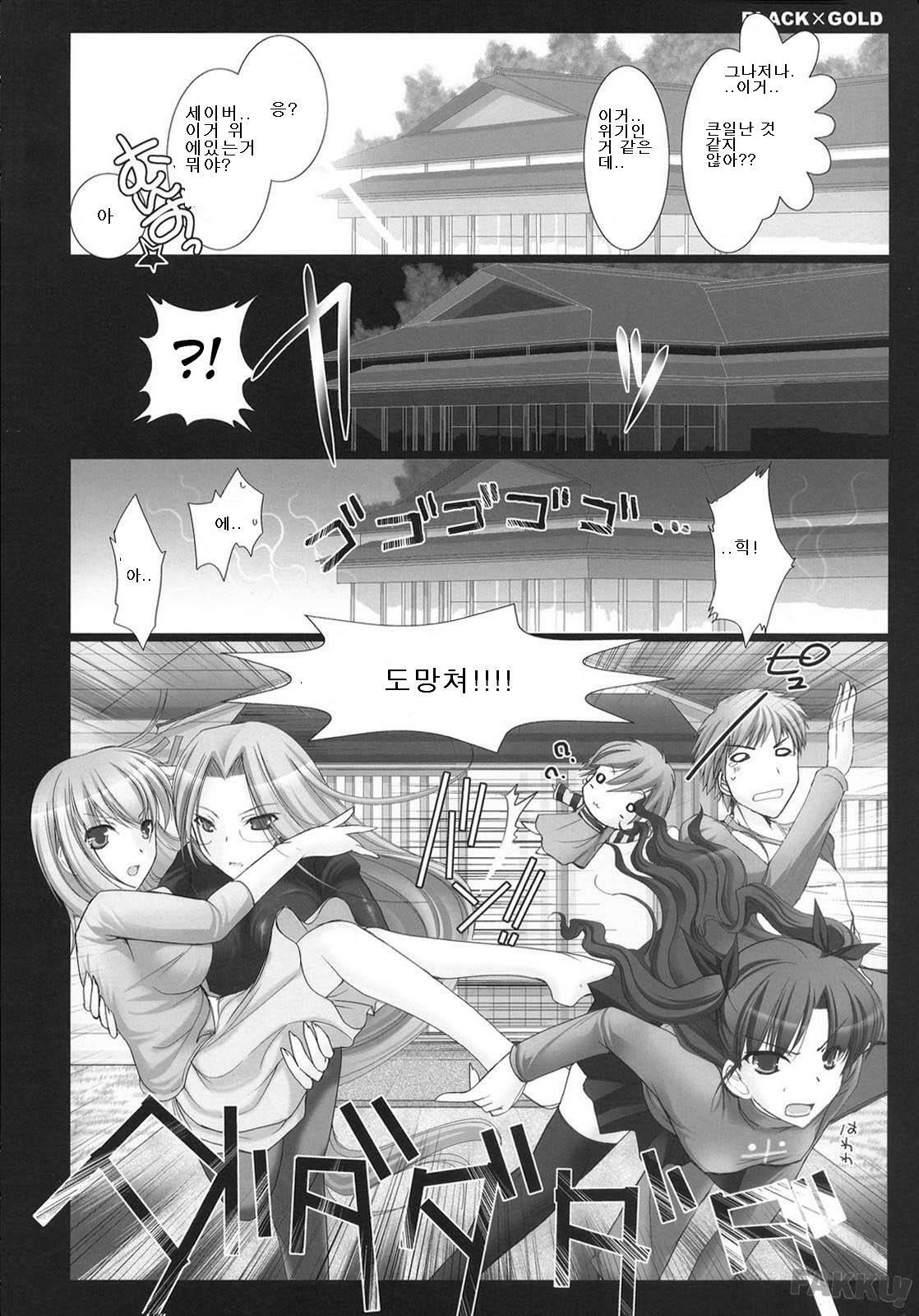 (C72) [UDON-YA (Kizuki Aruchu, ZAN)] BLACKxGOLD (Fate/hollow ataraxia) [Korean] [Decensored] page 4 full