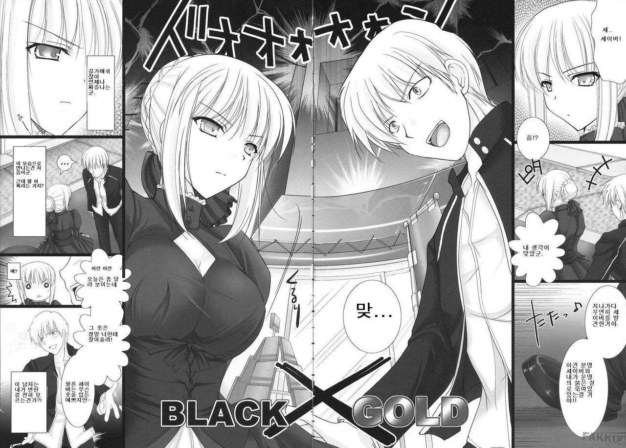 (C72) [UDON-YA (Kizuki Aruchu, ZAN)] BLACKxGOLD (Fate/hollow ataraxia) [Korean] [Decensored] page 6 full