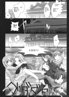 (C72) [UDON-YA (Kizuki Aruchu, ZAN)] BLACKxGOLD (Fate/hollow ataraxia) [Korean] [Decensored] - page 4