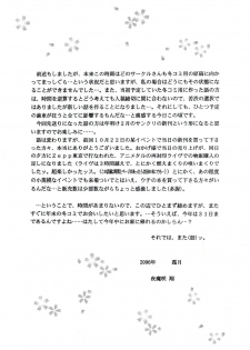 [D'ERLANGER (Yamazaki Show)] Kasumi Dayori (Dead or Alive) - page 17