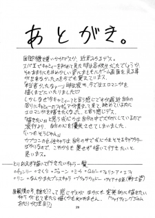 (C66) [Sangenshokudou (Chikasato Michiru)] Cammy Bon | Cammy Book (Street Fighter) [English] [SaHa] - page 28