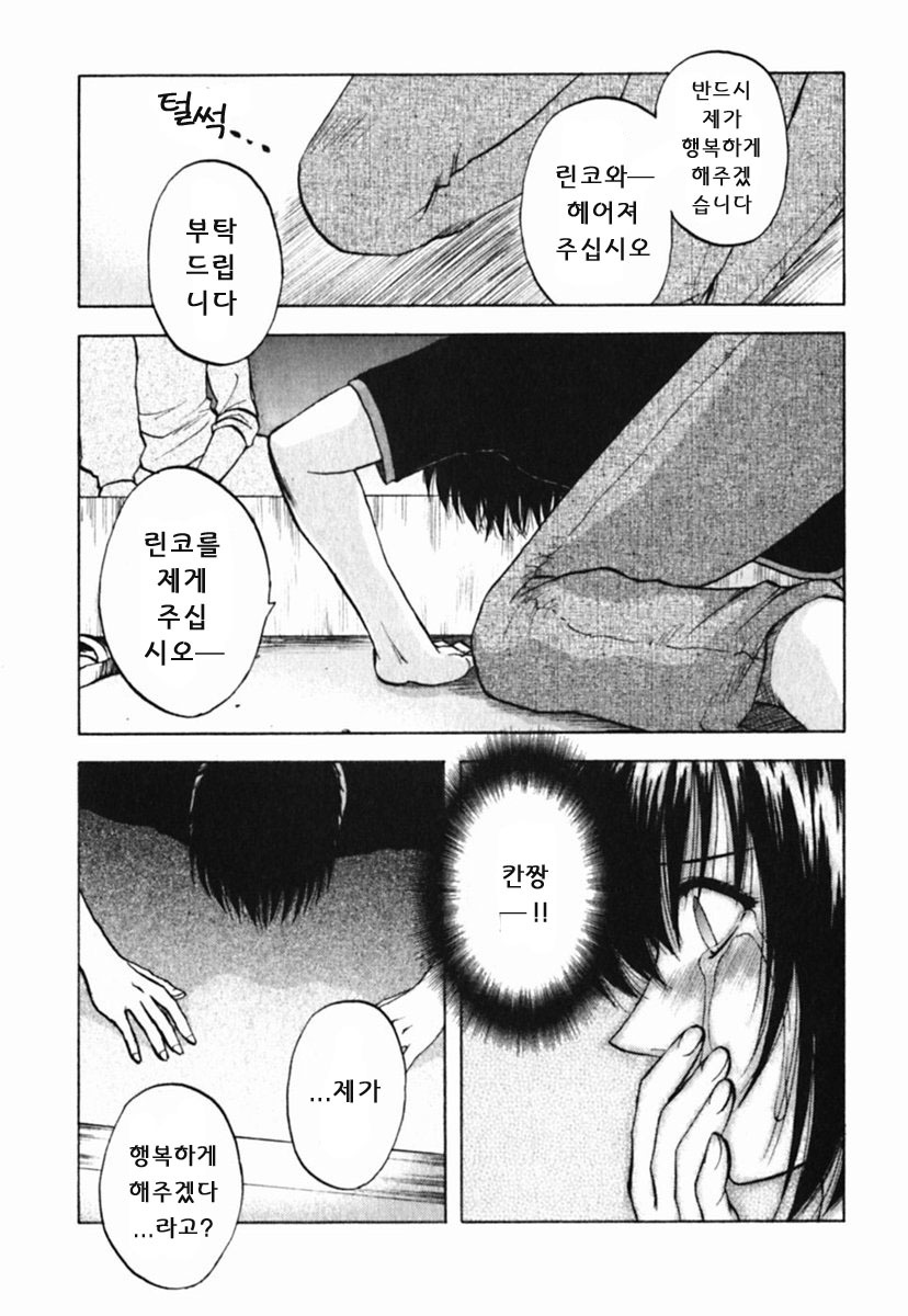 [Maeda Sengoku] Mrs. Link [Korean] [DoRaGoRa] page 184 full