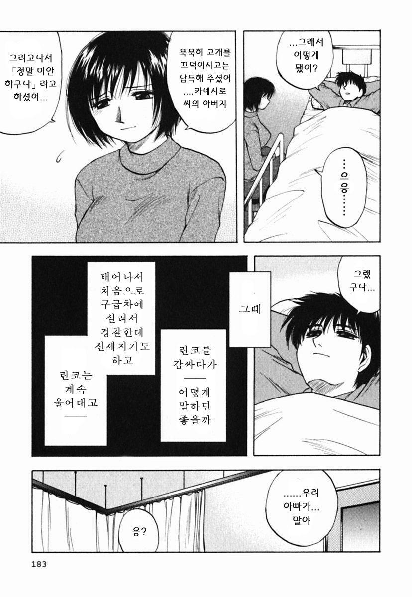 [Maeda Sengoku] Mrs. Link [Korean] [DoRaGoRa] page 188 full