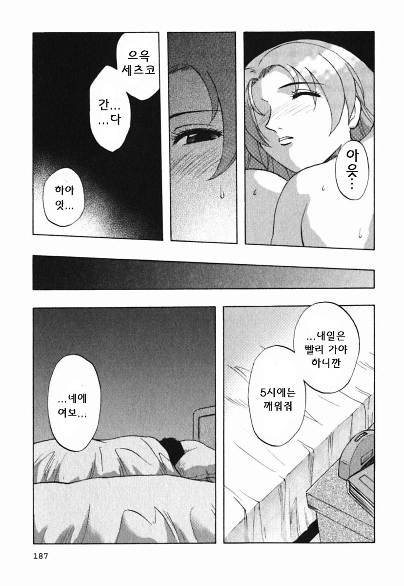 [Maeda Sengoku] Mrs. Link [Korean] [DoRaGoRa] page 192 full