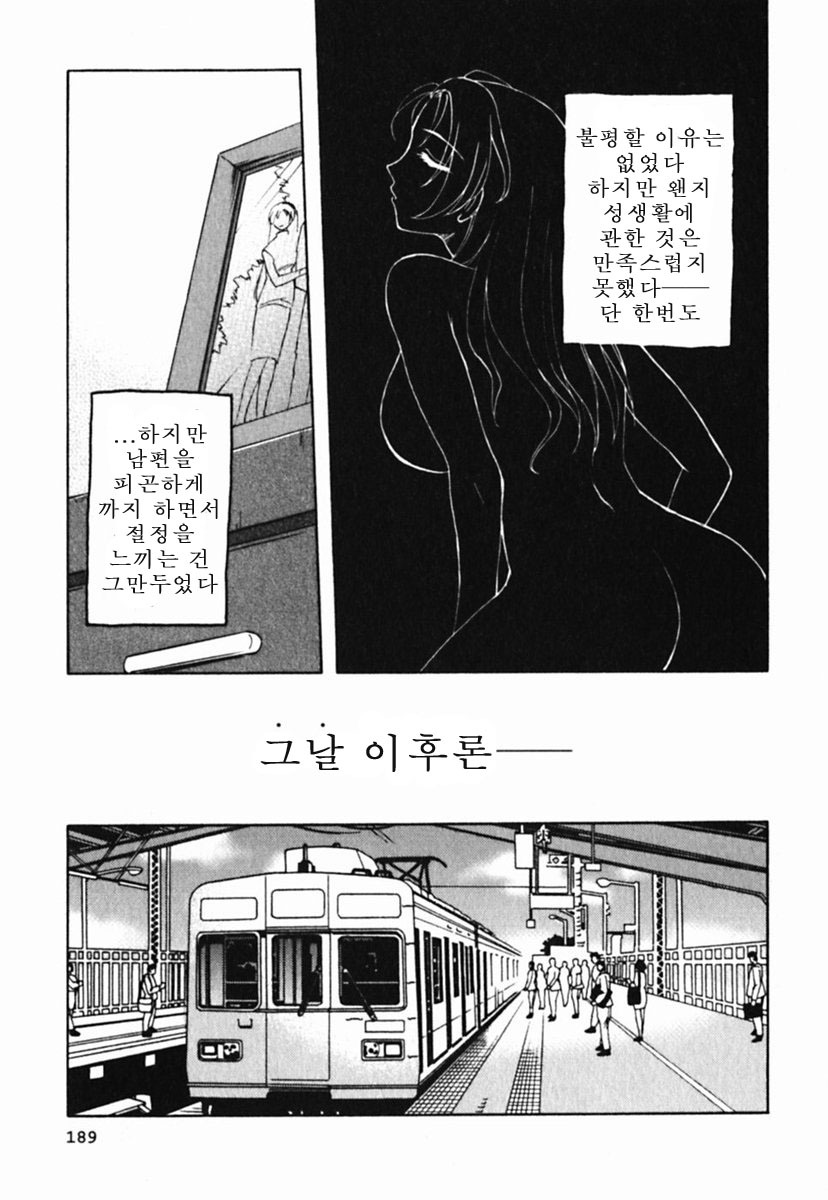 [Maeda Sengoku] Mrs. Link [Korean] [DoRaGoRa] page 194 full