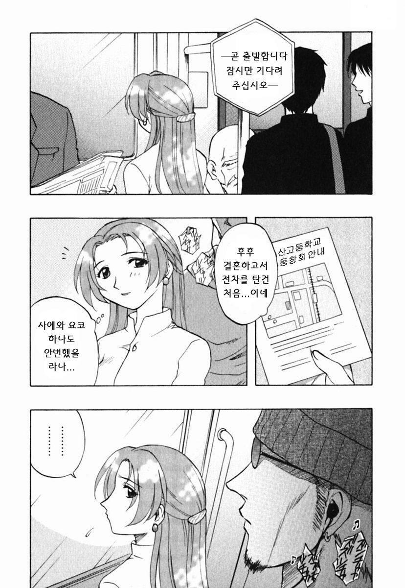 [Maeda Sengoku] Mrs. Link [Korean] [DoRaGoRa] page 195 full