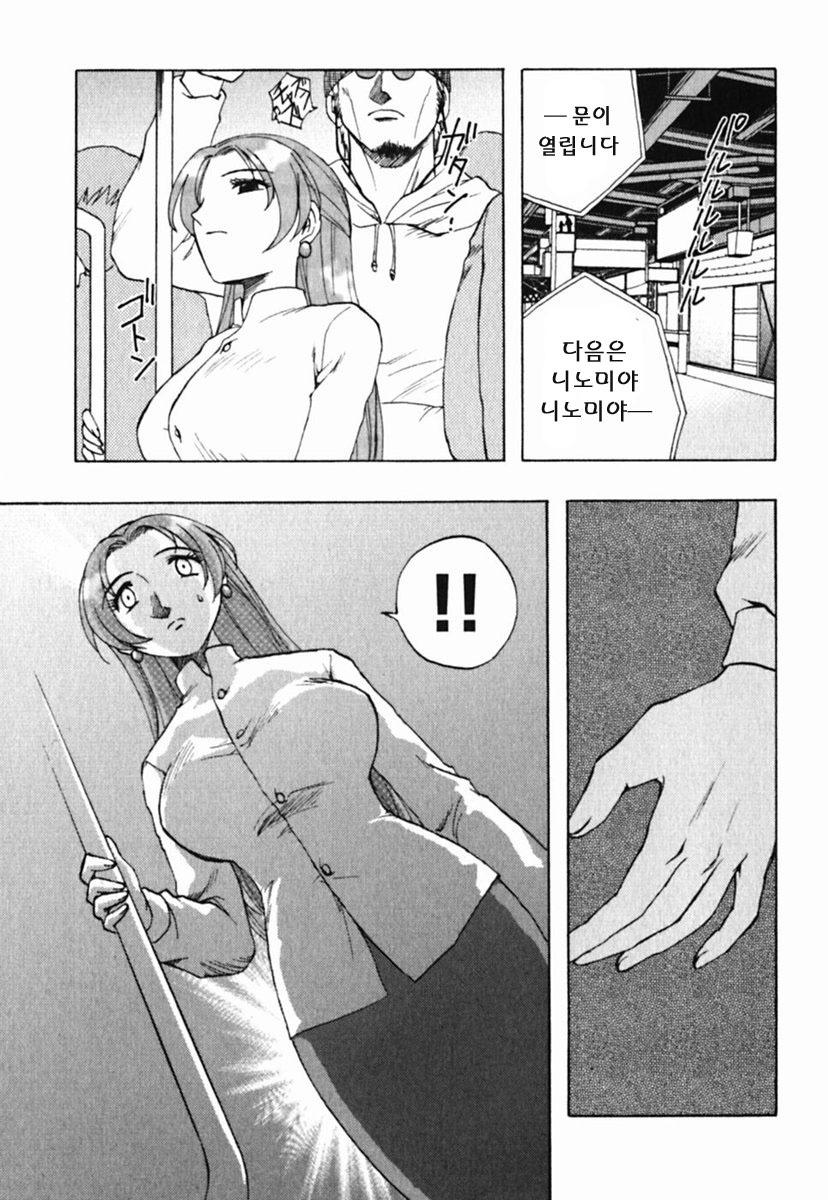 [Maeda Sengoku] Mrs. Link [Korean] [DoRaGoRa] page 196 full