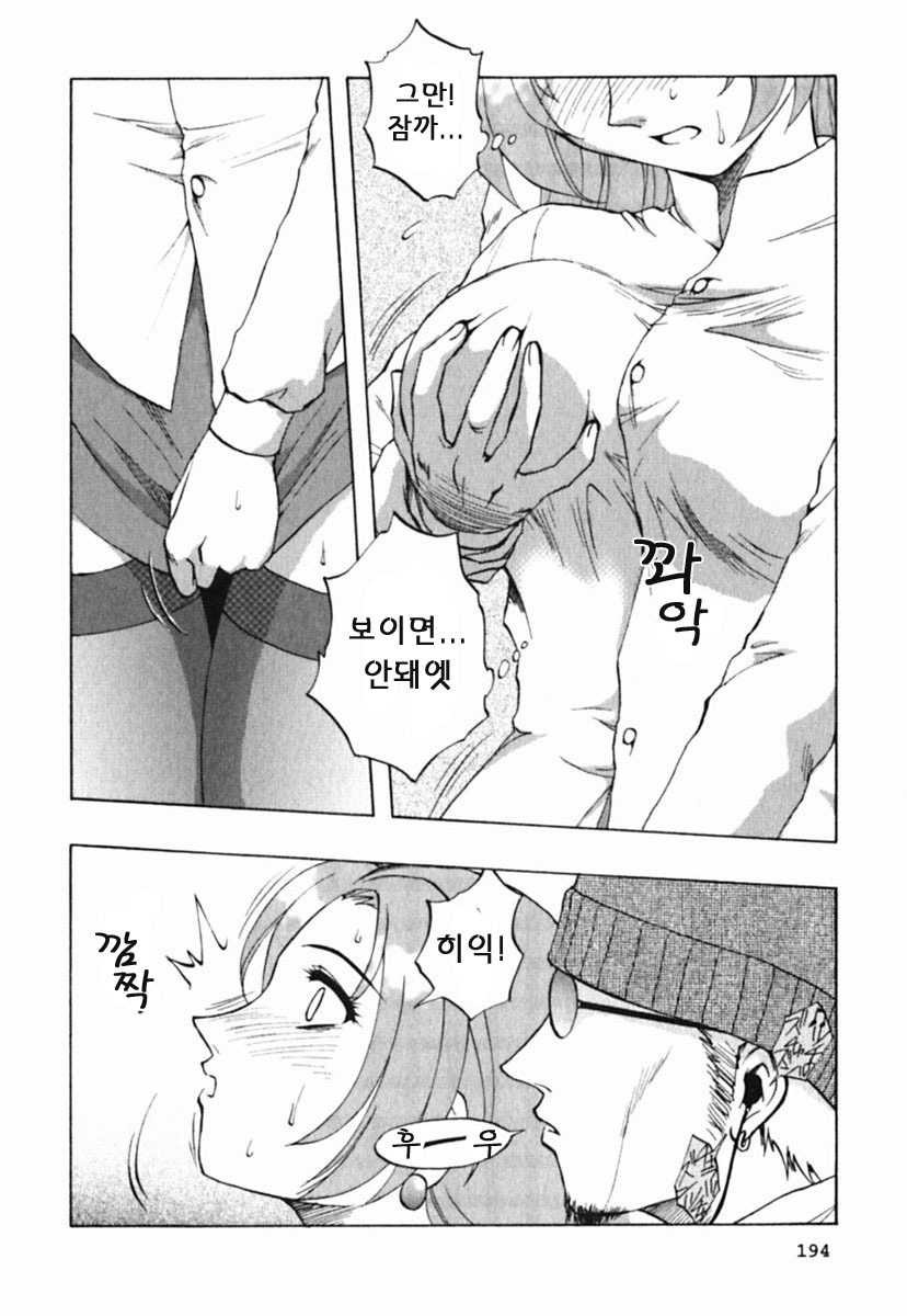 [Maeda Sengoku] Mrs. Link [Korean] [DoRaGoRa] page 199 full