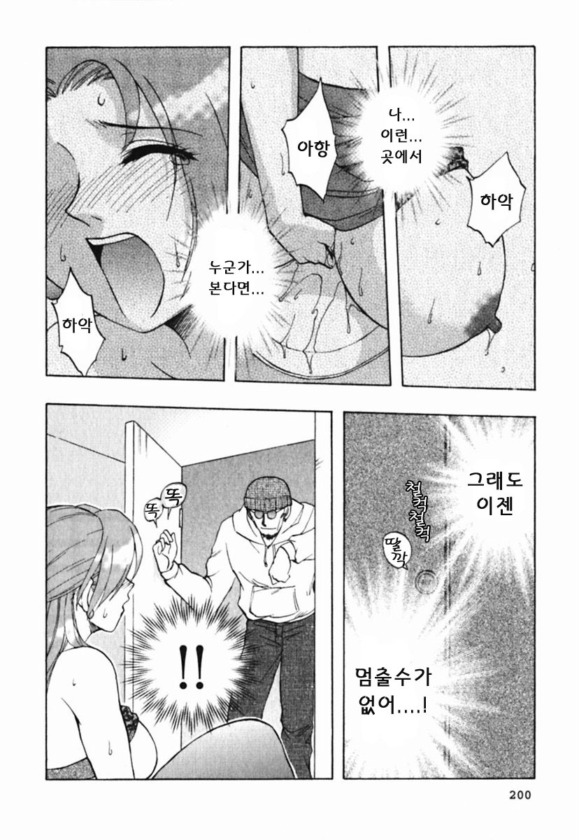 [Maeda Sengoku] Mrs. Link [Korean] [DoRaGoRa] page 205 full