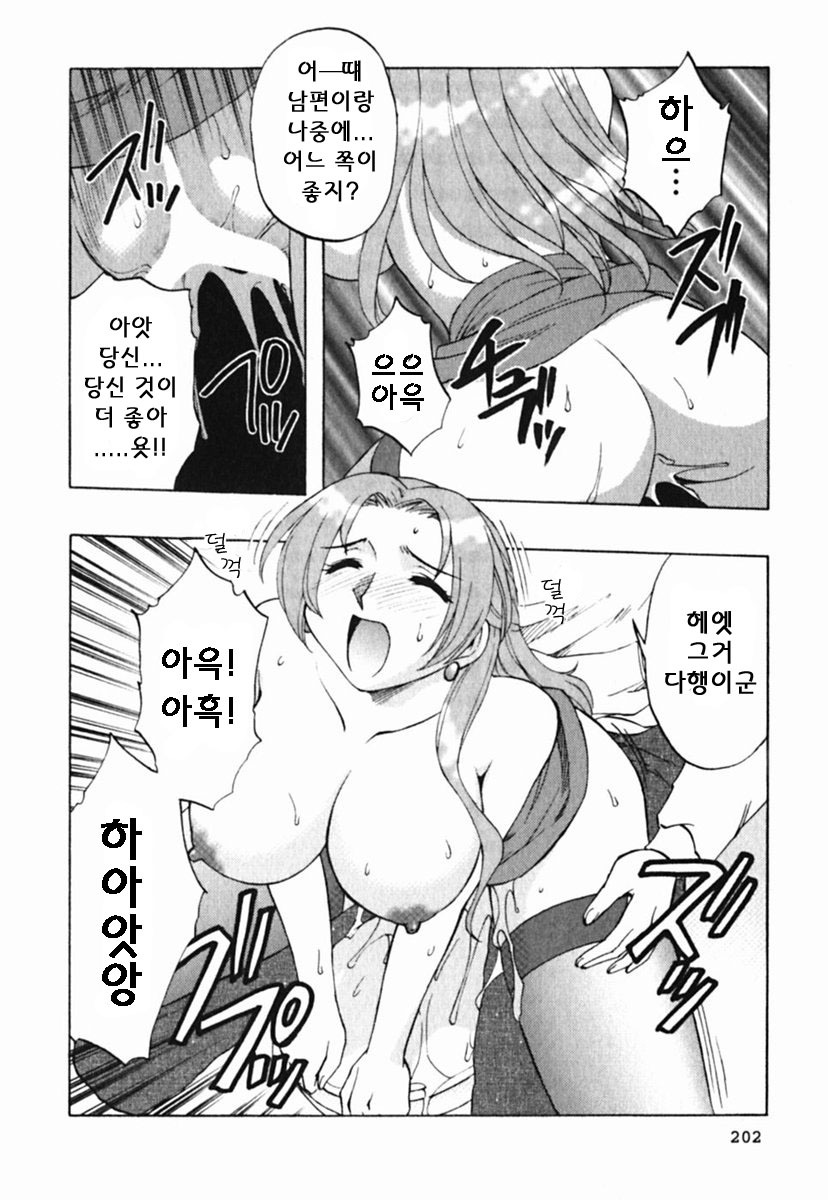 [Maeda Sengoku] Mrs. Link [Korean] [DoRaGoRa] page 207 full