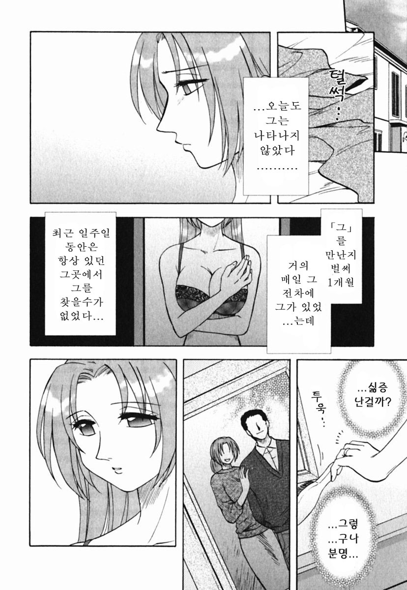 [Maeda Sengoku] Mrs. Link [Korean] [DoRaGoRa] page 211 full