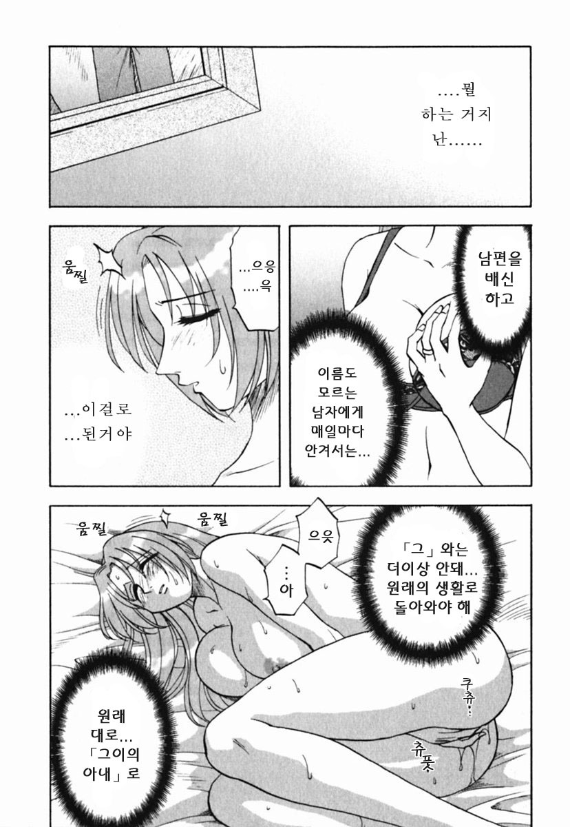 [Maeda Sengoku] Mrs. Link [Korean] [DoRaGoRa] page 212 full