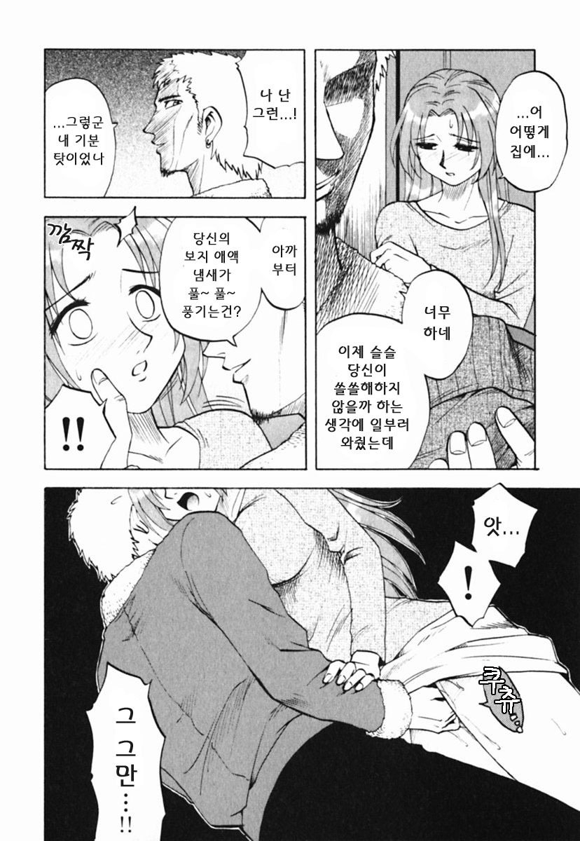 [Maeda Sengoku] Mrs. Link [Korean] [DoRaGoRa] page 215 full