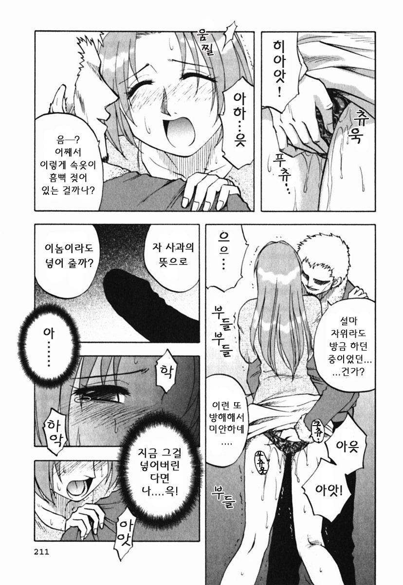 [Maeda Sengoku] Mrs. Link [Korean] [DoRaGoRa] page 216 full