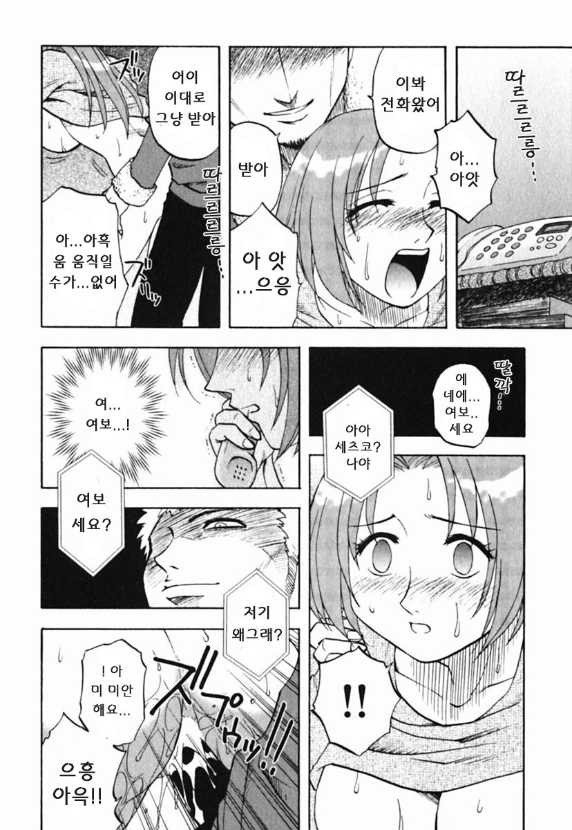 [Maeda Sengoku] Mrs. Link [Korean] [DoRaGoRa] page 221 full