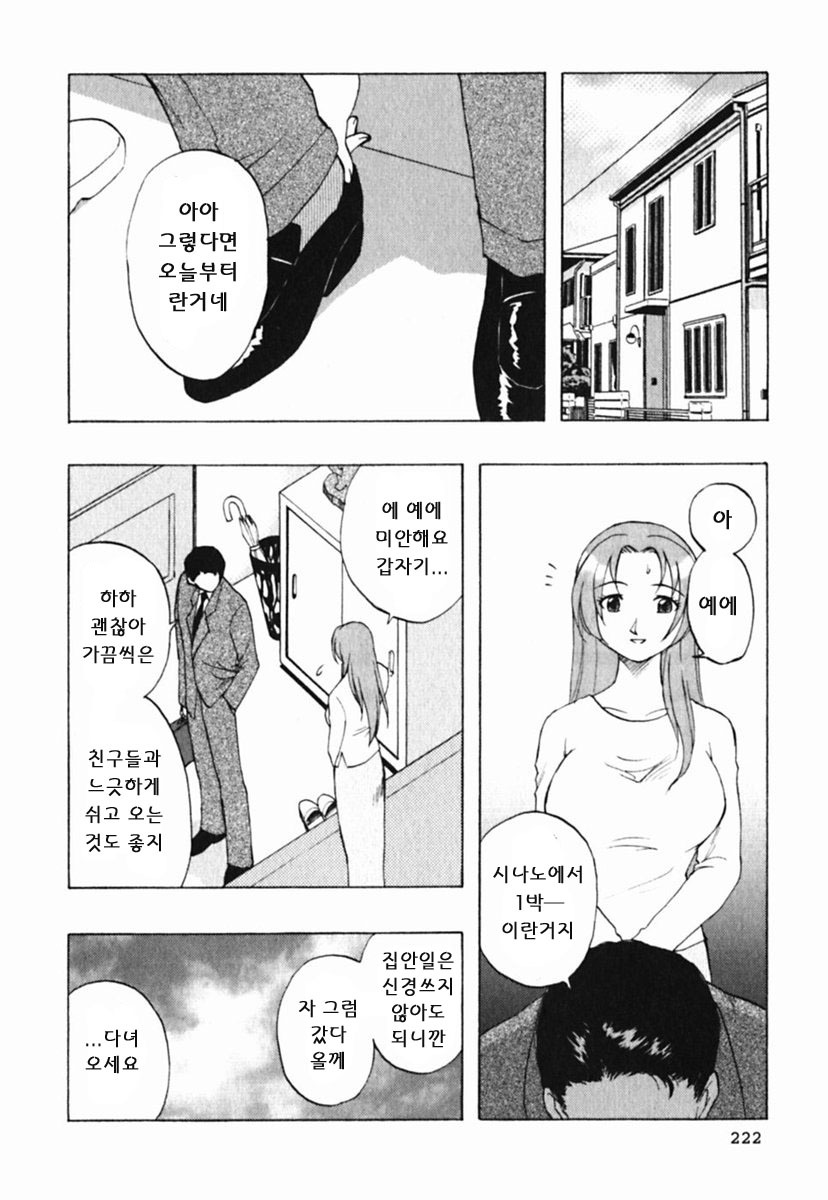 [Maeda Sengoku] Mrs. Link [Korean] [DoRaGoRa] page 227 full