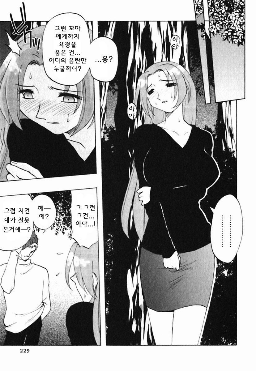 [Maeda Sengoku] Mrs. Link [Korean] [DoRaGoRa] page 234 full