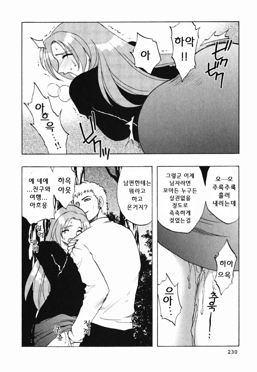 [Maeda Sengoku] Mrs. Link [Korean] [DoRaGoRa] page 235 full