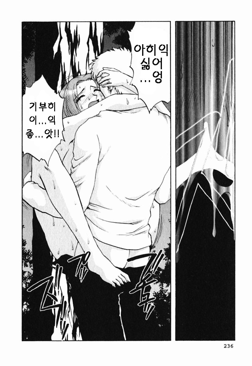 [Maeda Sengoku] Mrs. Link [Korean] [DoRaGoRa] page 241 full