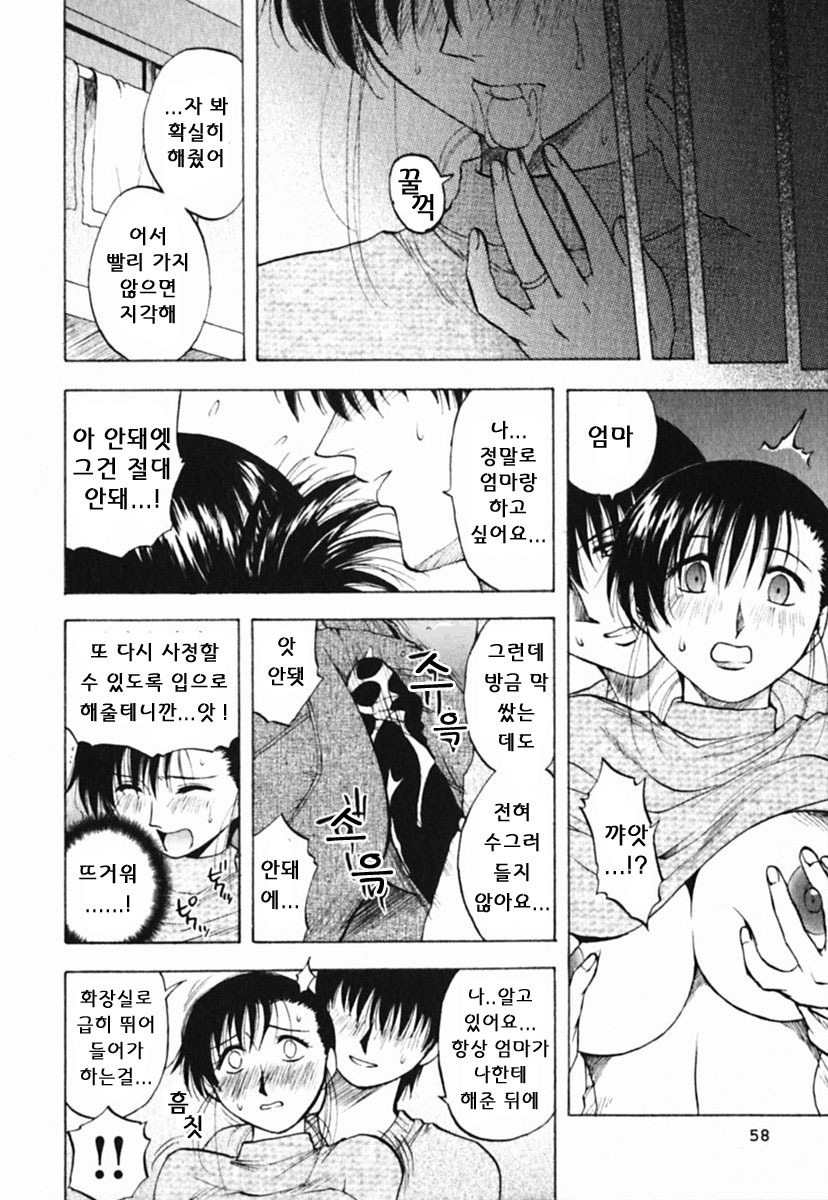 [Maeda Sengoku] Mrs. Link [Korean] [DoRaGoRa] page 63 full